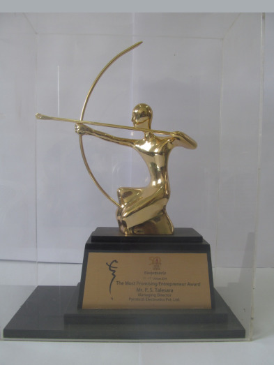 The Most Promising Entrepreneur Award